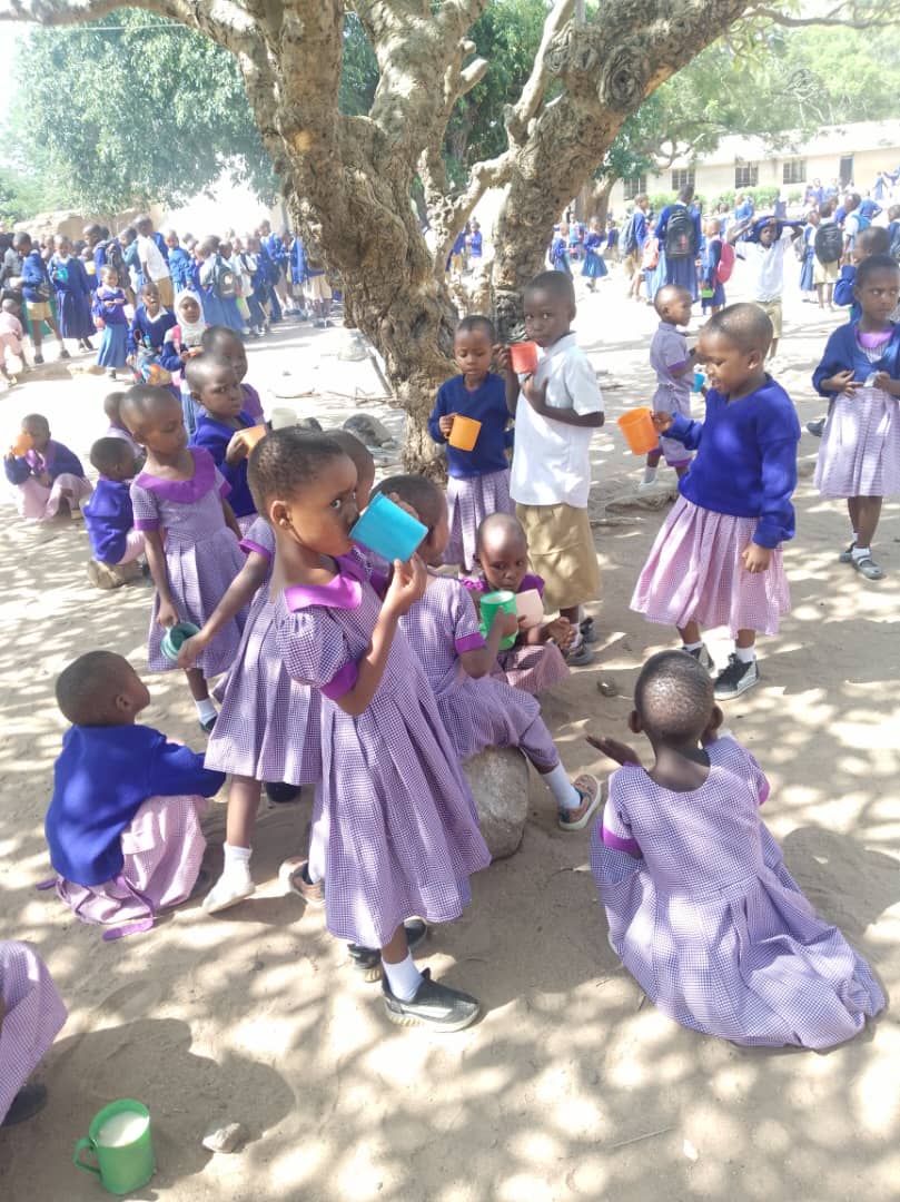 School compound and classrooms